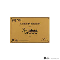 Nimbus 2000 Junior