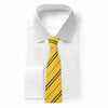 Harry Potter Hufflepuff tie