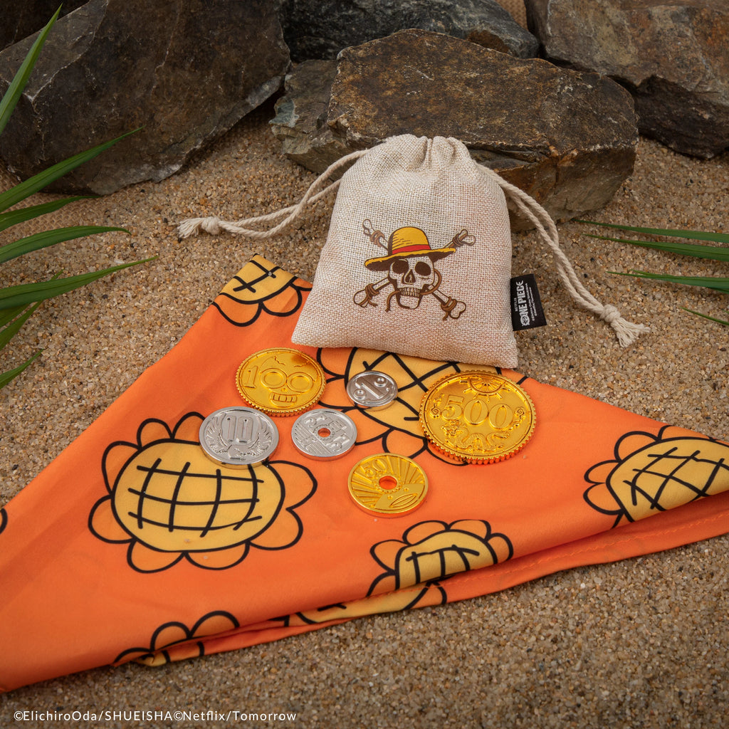 Nami Bandana & Berry Coins Set