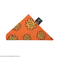 Nami Bandana & Berry Coins Set